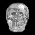 Clear skull