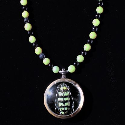 Collier-o-pt�re