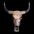 Buffalo skull with silver parts