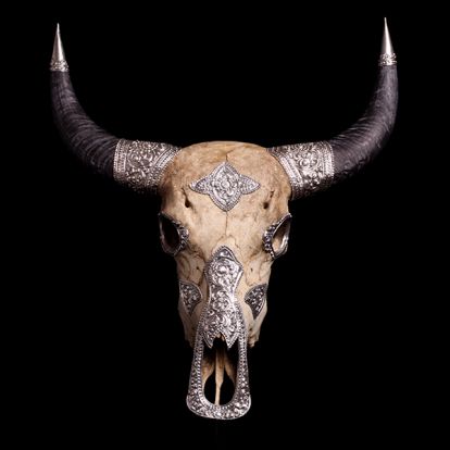 Buffalo skull with silver parts