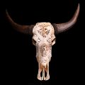 Carved buffalo skull