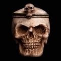 Skull box