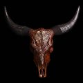 Cr�ne de vache