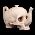 Skull teapot