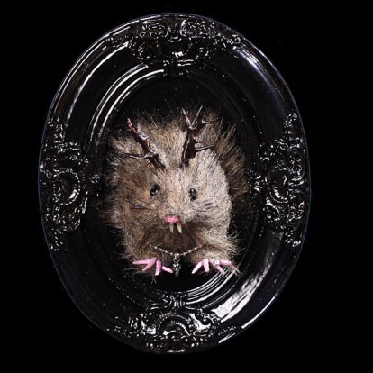 Troph�e rat-dieu