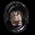 Troph�e rat-dieu