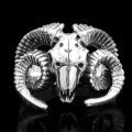 Ram ring